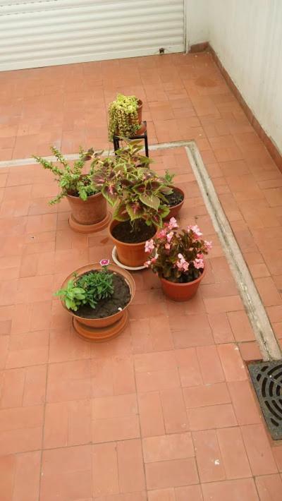Apartamento Kurmi Olavarría Exterior foto